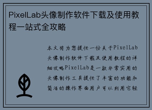 PixelLab头像制作软件下载及使用教程一站式全攻略